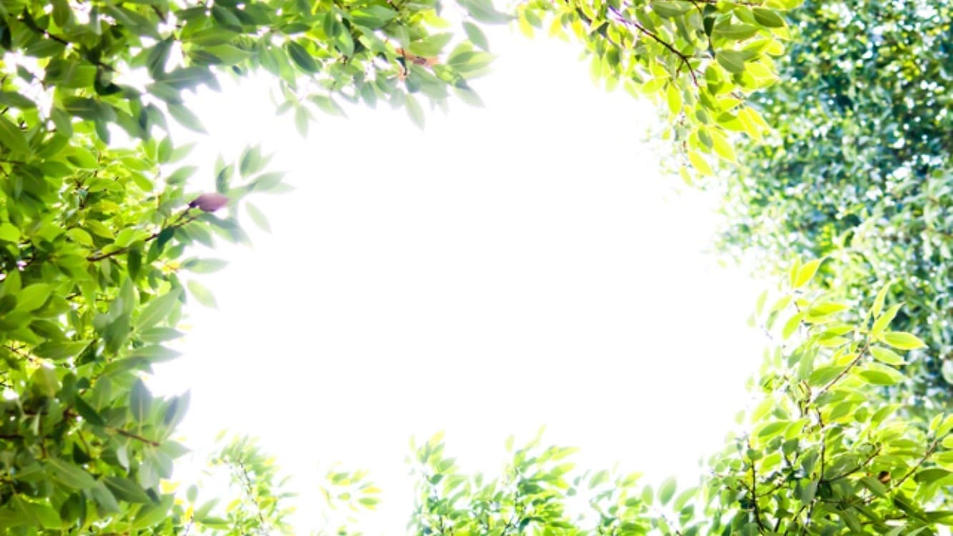 OLive保育園