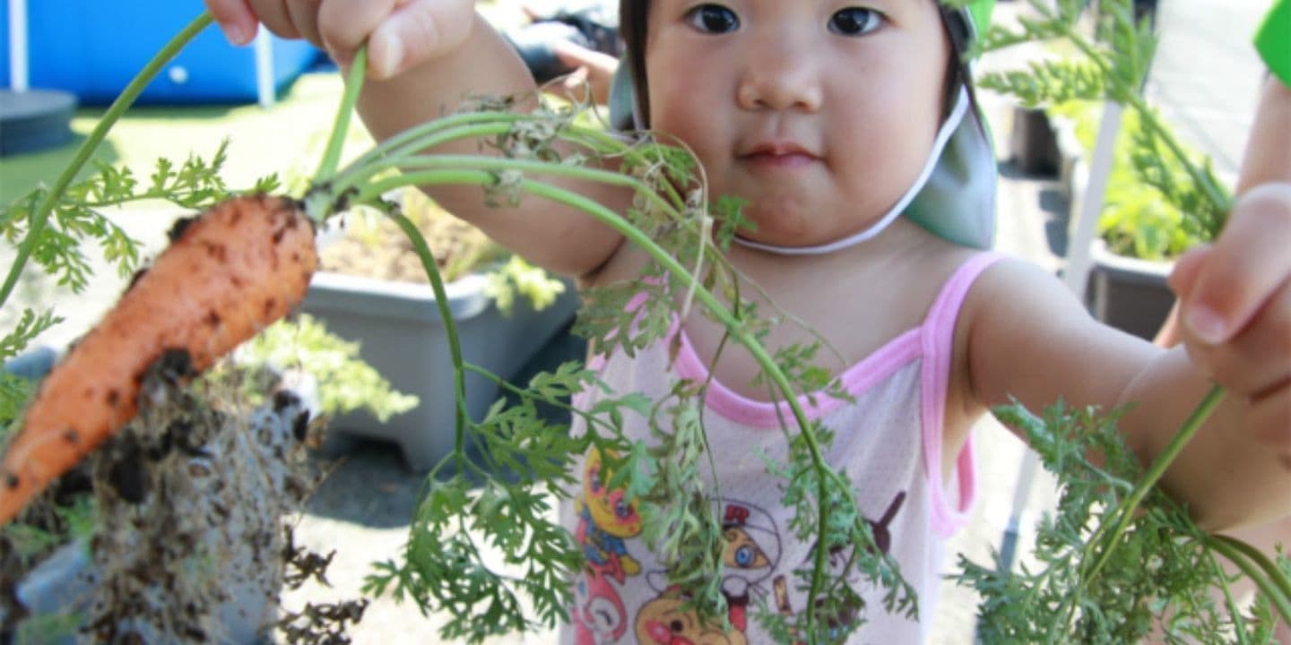 OLive保育園の日常