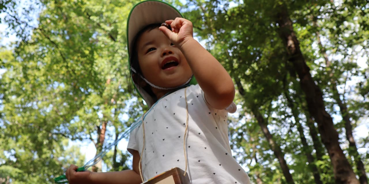 OLive保育園の園外活動（自然保育）